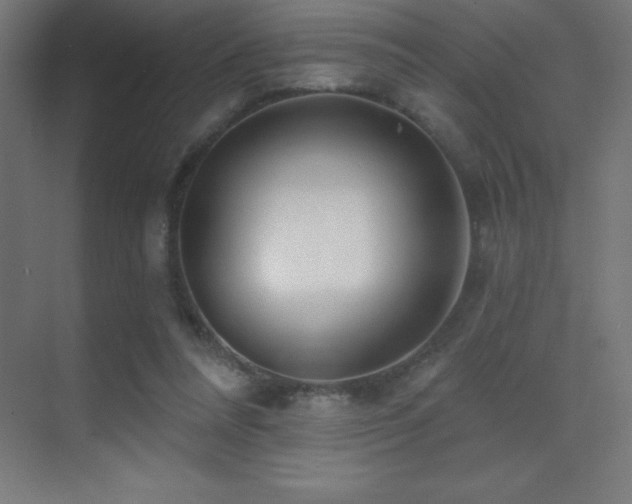 X0000070240304200606021137