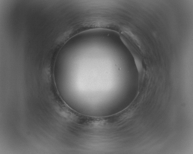 X0000070240306200606021137
