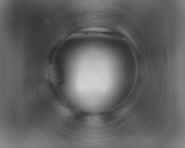 X0000070240307200606021137