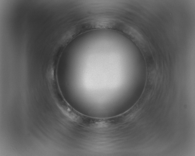 X0000070240310200606021137