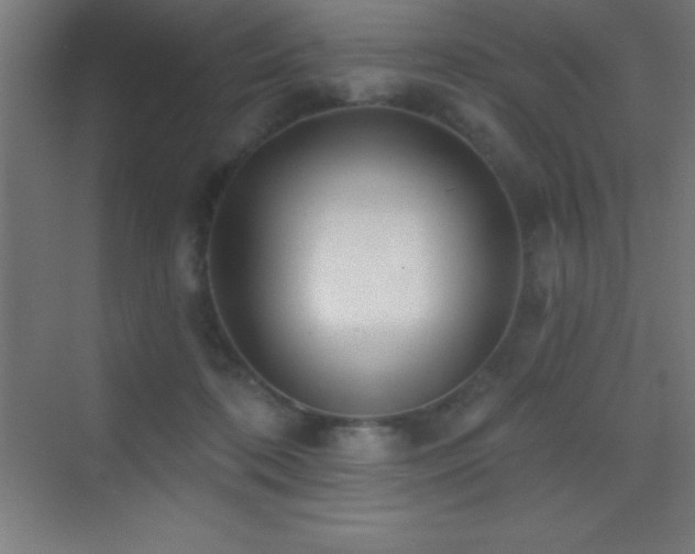 X0000070240316200606021137