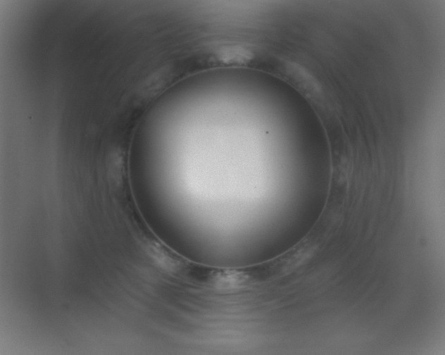 X0000070240321200606021136