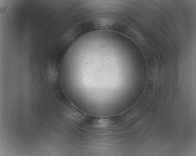 X0000070240324200606021136