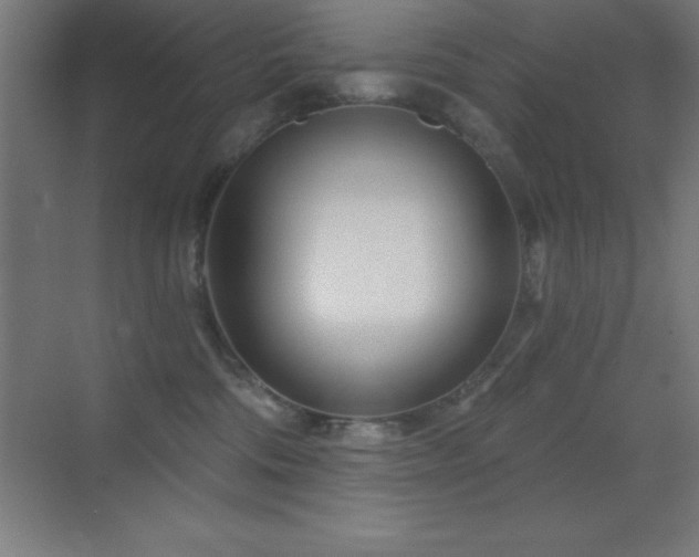 X0000070240330200606021136