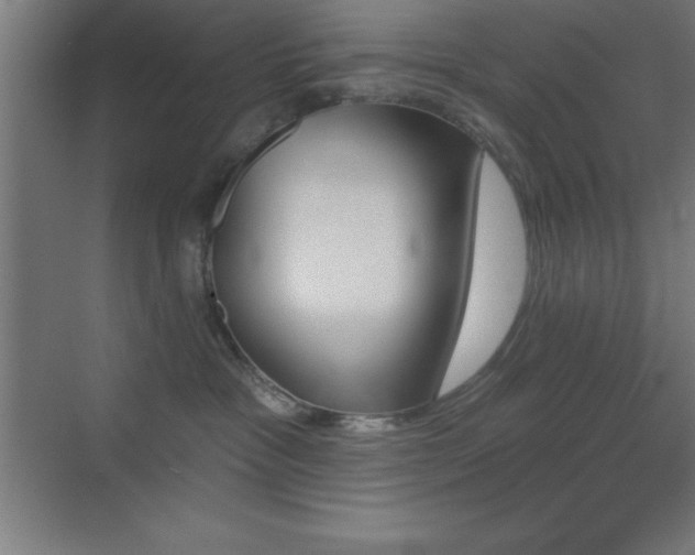 X0000070240333200606021136