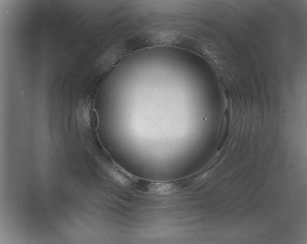 X0000070240334200606021136