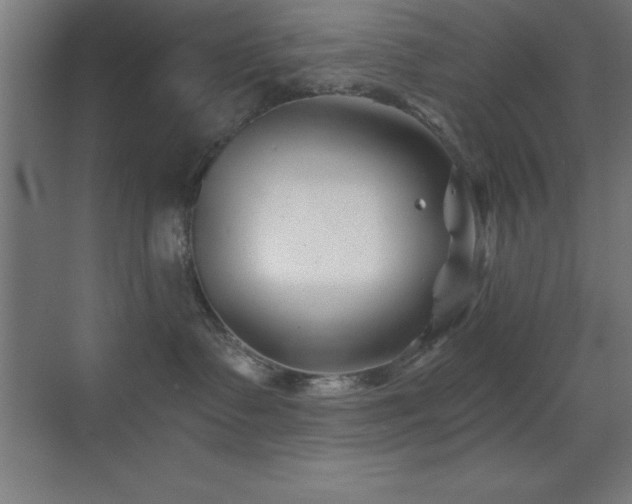 X0000070240335200606021136