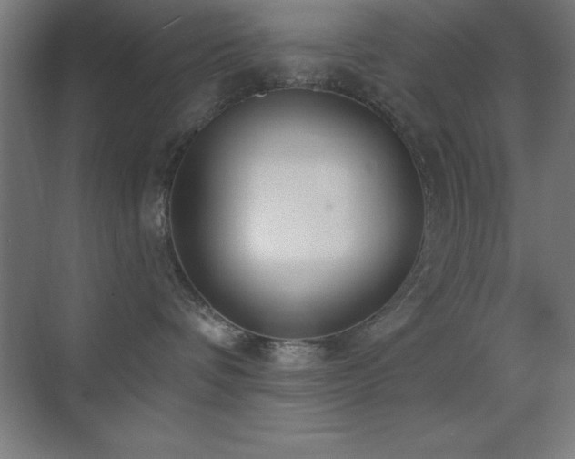 X0000070240336200606021136