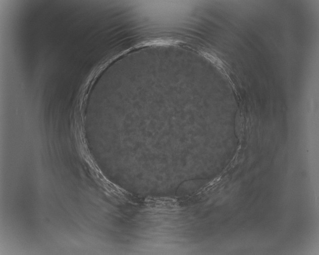 X0000070240337200606021135