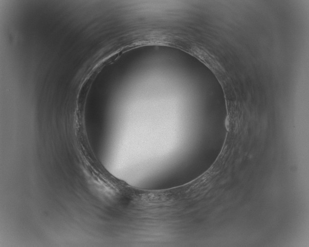 X0000070240338200606021135