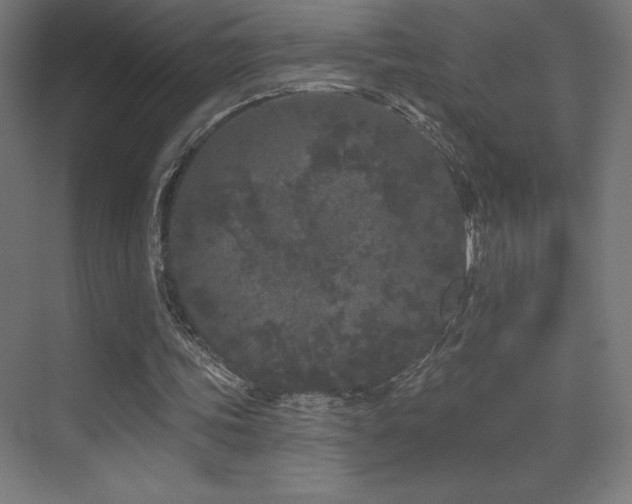 X0000070240339200606021135