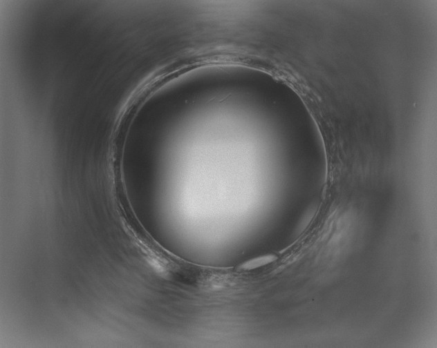 X0000070240341200606021136
