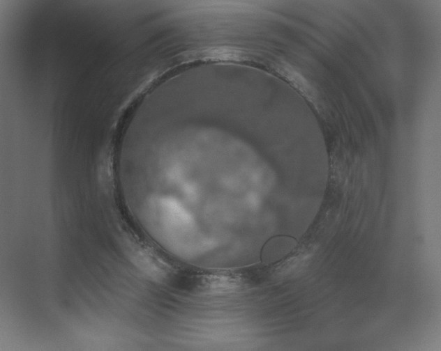 X0000070240347200606021136