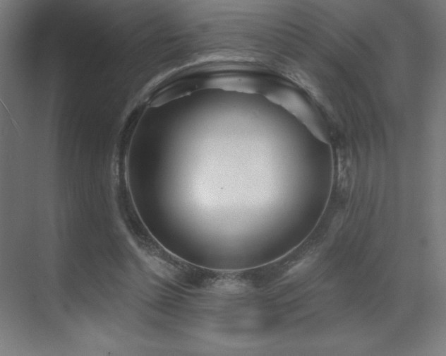 X0000070240348200606021136