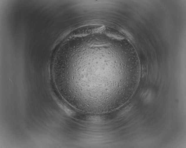 X0000070240349200606021136