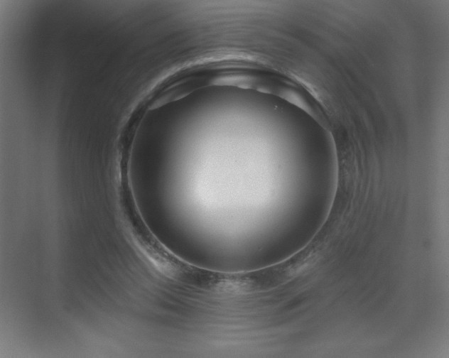 X0000070240350200606021136