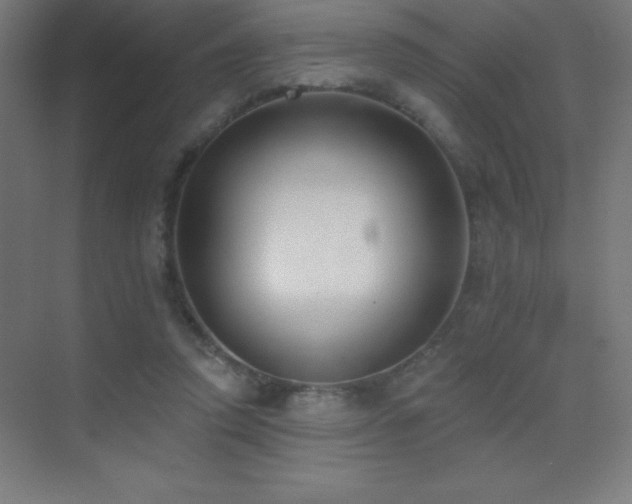 X0000070240354200606021136