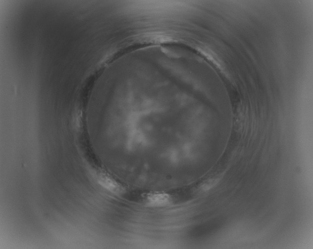 X0000070240355200606021136