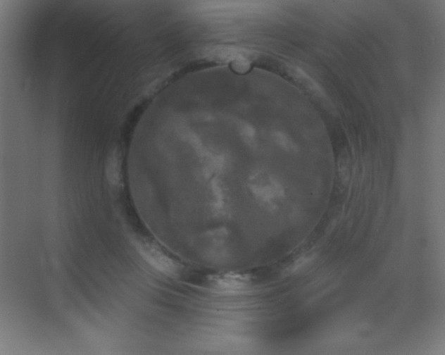 X0000070240359200606021136