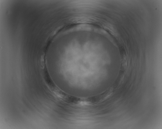 X0000070240360200606021136