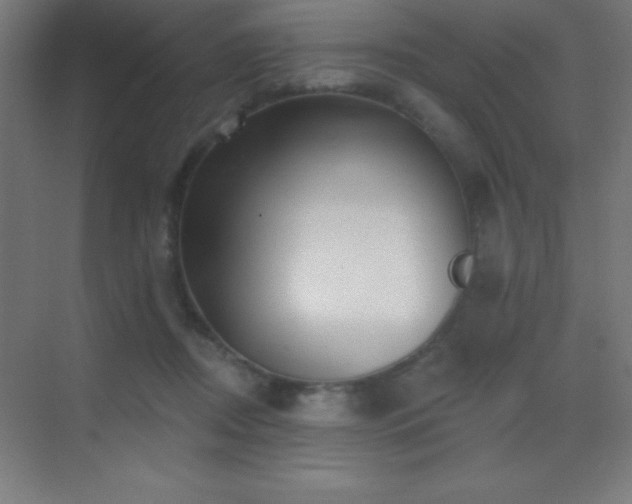 X0000070240362200606021136