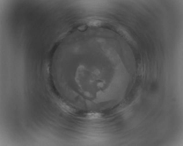 X0000070240363200606021136
