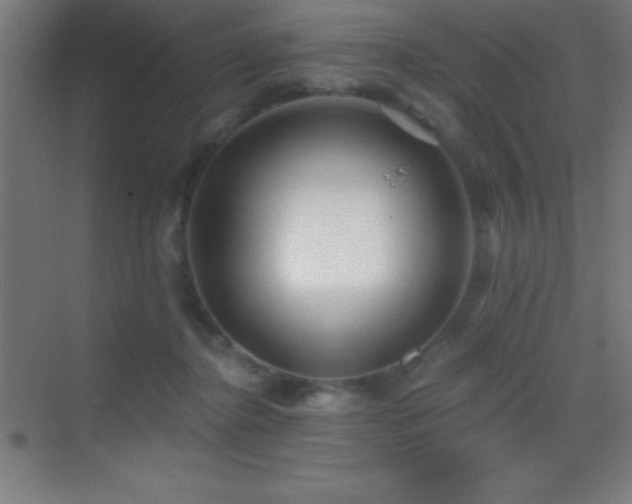 X0000070240364200606021136