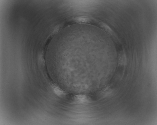 X0000070240377200606021136