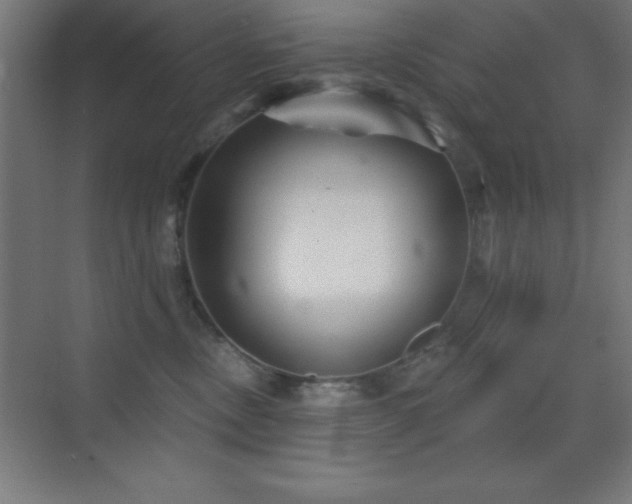 X0000070240378200606021136