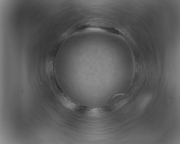 X0000070240382200606021136