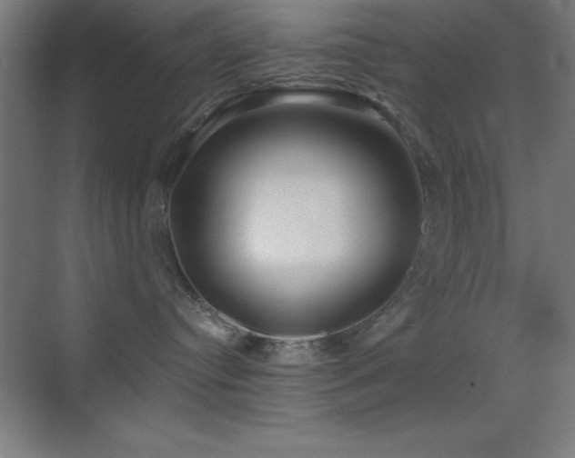 X0000070240384200606021136