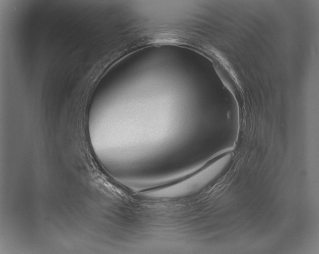 X0000070240385200606021135