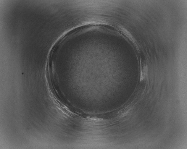 X0000070240387200606021135