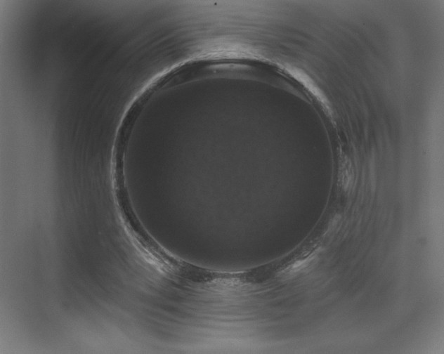 X0000070240391200606021135