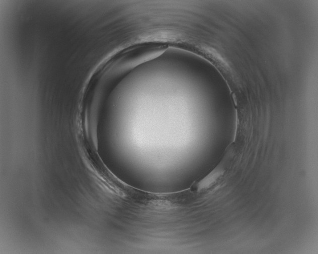 X0000070240392200606021135