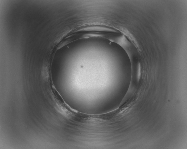 X0000070240393200606021135