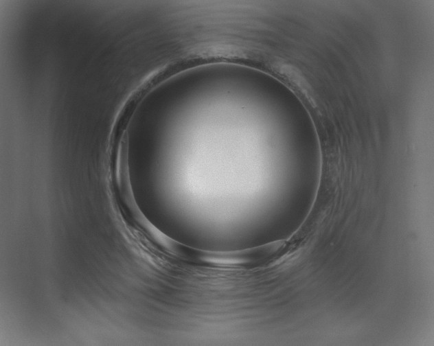 X0000070240395200606021135