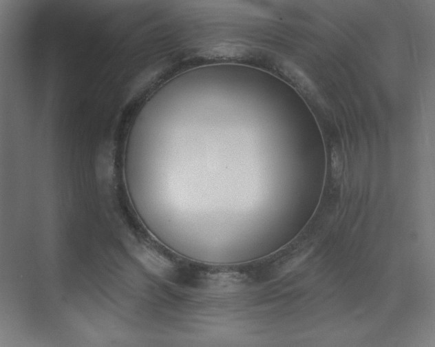 X0000070240396200606021135