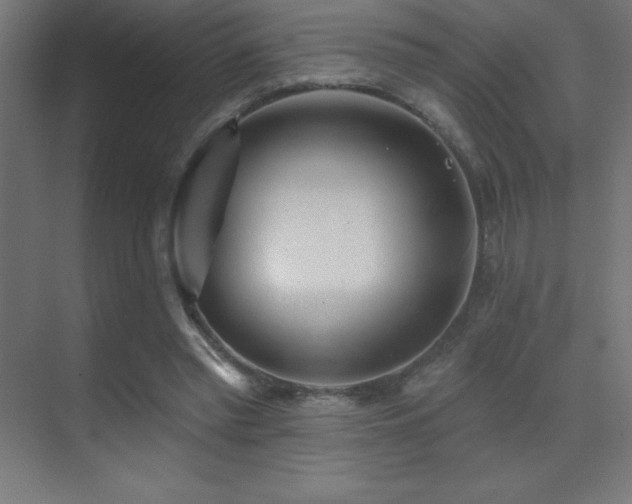 X0000070240397200606021135