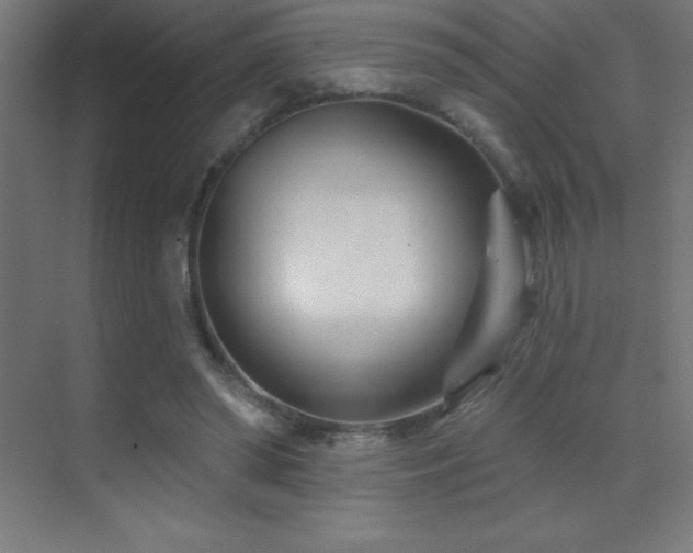 X0000070240398200606021135