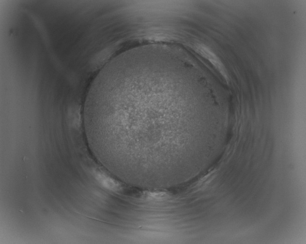 X0000070240401200606021135