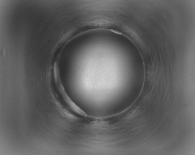 X0000070240403200606021135