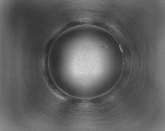 X0000070240404200606021135