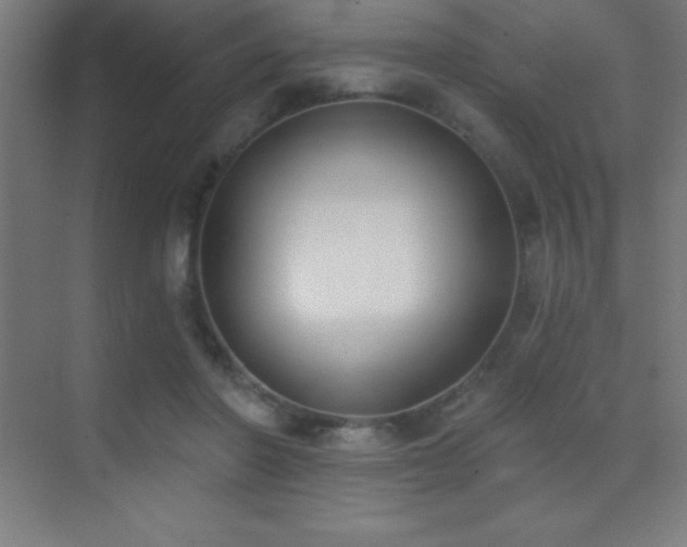 X0000070240406200606021135