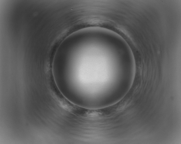 X0000070240407200606021135