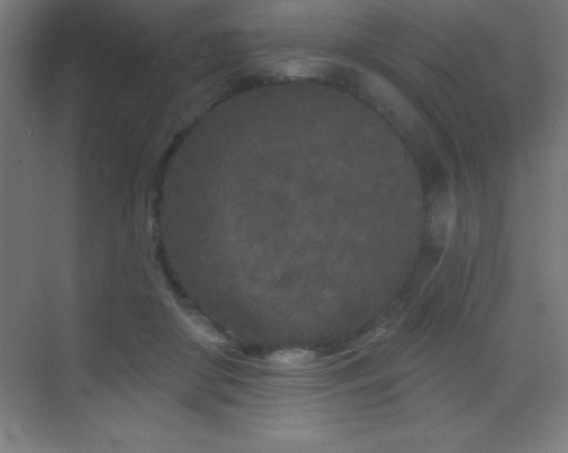 X0000070240410200606021135