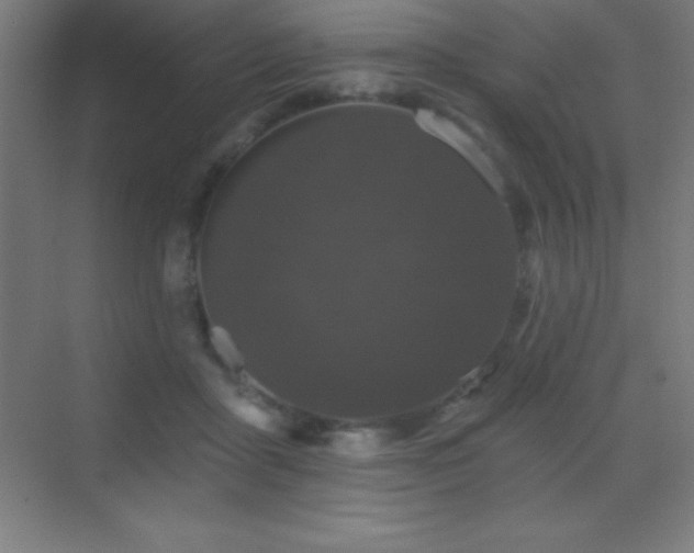 X0000070240411200606021135