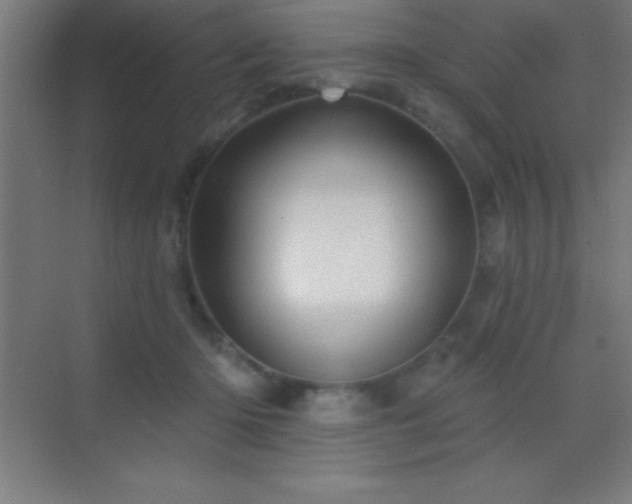 X0000070240414200606021135