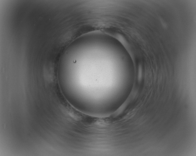 X0000070240416200606021135