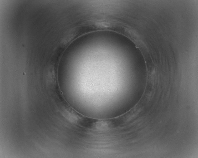 X0000070240418200606021135